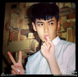 日本搞笑综艺爆料视频,爆笑瞬间背后的故事  第3张